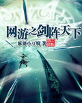 网游之剑 小说封面