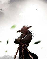 四合院之傻柱从军