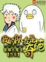 我的队友是什么意思